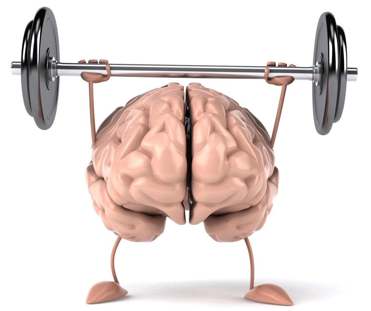 Brain Fitness image source: https://www.dglaccountants.com.au/9-ways-to-improve-your-brain-fitness/